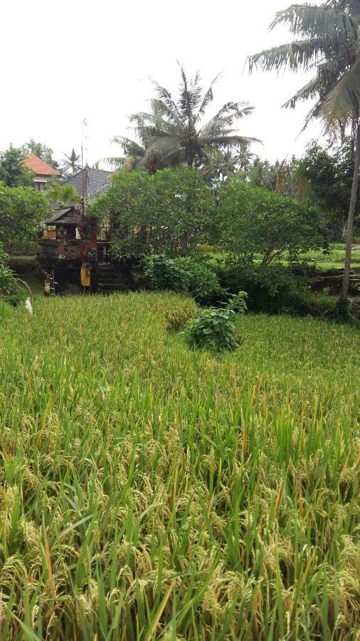 Pondok Tulasi Semaya House Hotell Payangan Eksteriør bilde